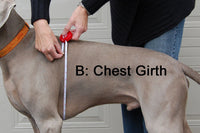 Thumbnail for FREE Sizing Consultation