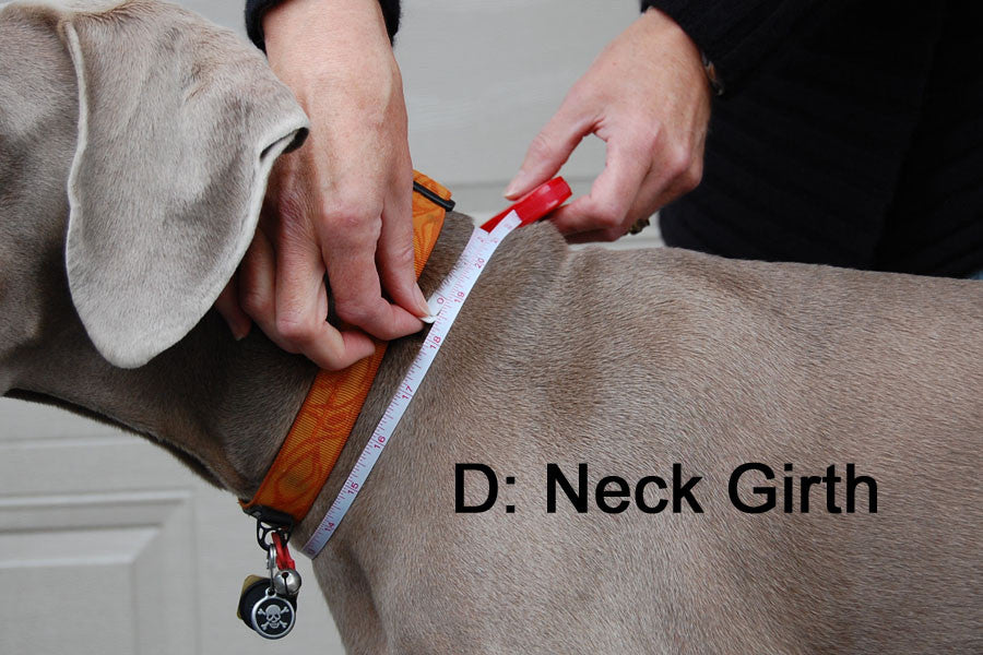 FREE Sizing Consultation
