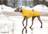 Thumbnail for Weimaraner wearing the Harbour Slicker in Yellow