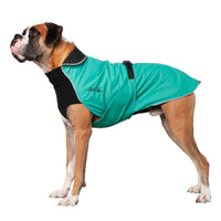 Thumbnail for Boxer wearing the Harbour Slicker in Jade