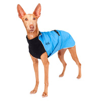Thumbnail for Pharaoh Hound wearing a Harbour Slicker in Turquoise