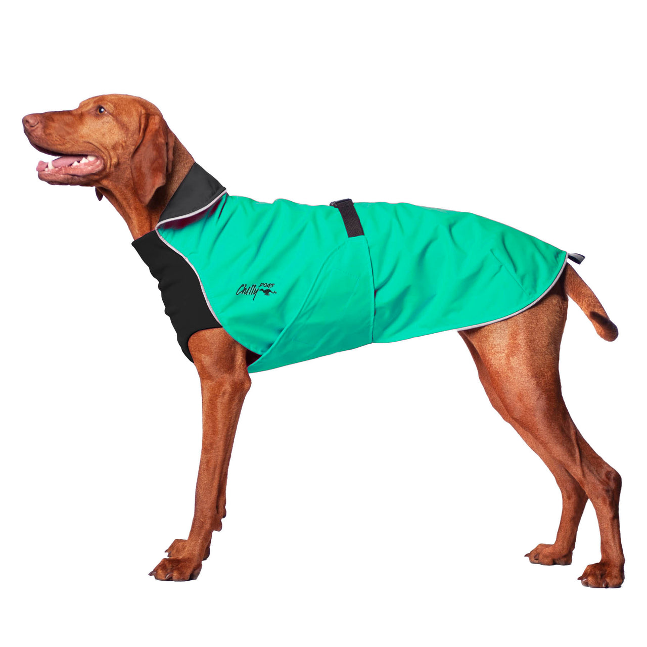 Harbour Slicker Dog Rain Coat