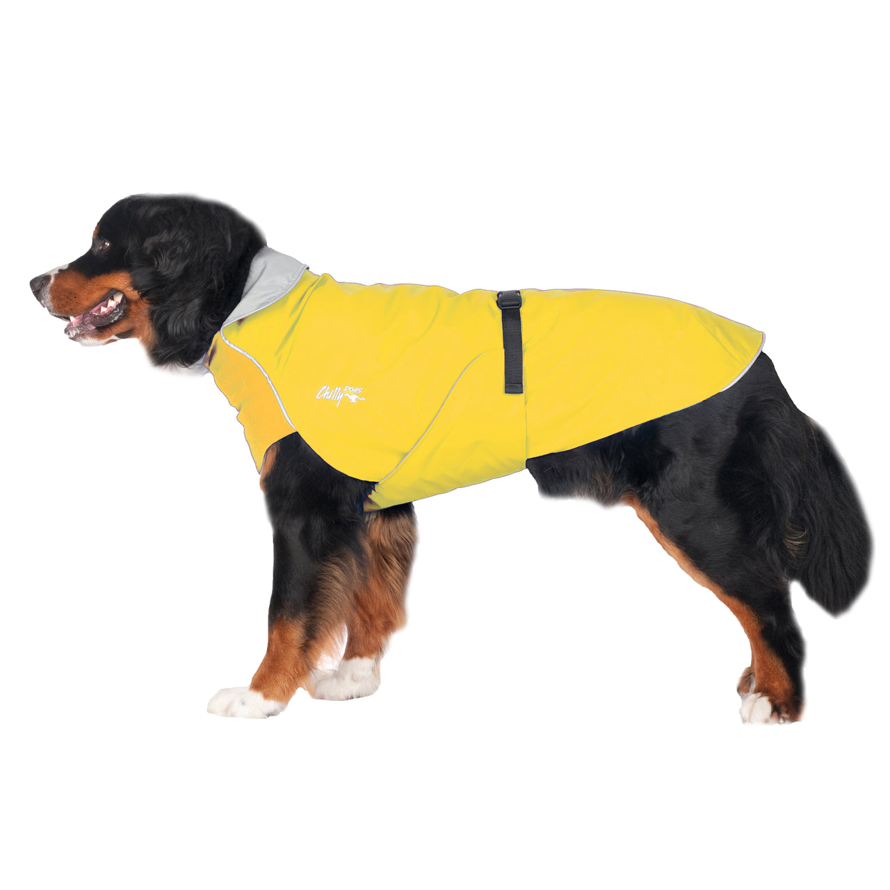 Harbour Slicker Dog Rain Coat