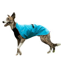 Thumbnail for Alpine Blazer 3-Season Dog Coat