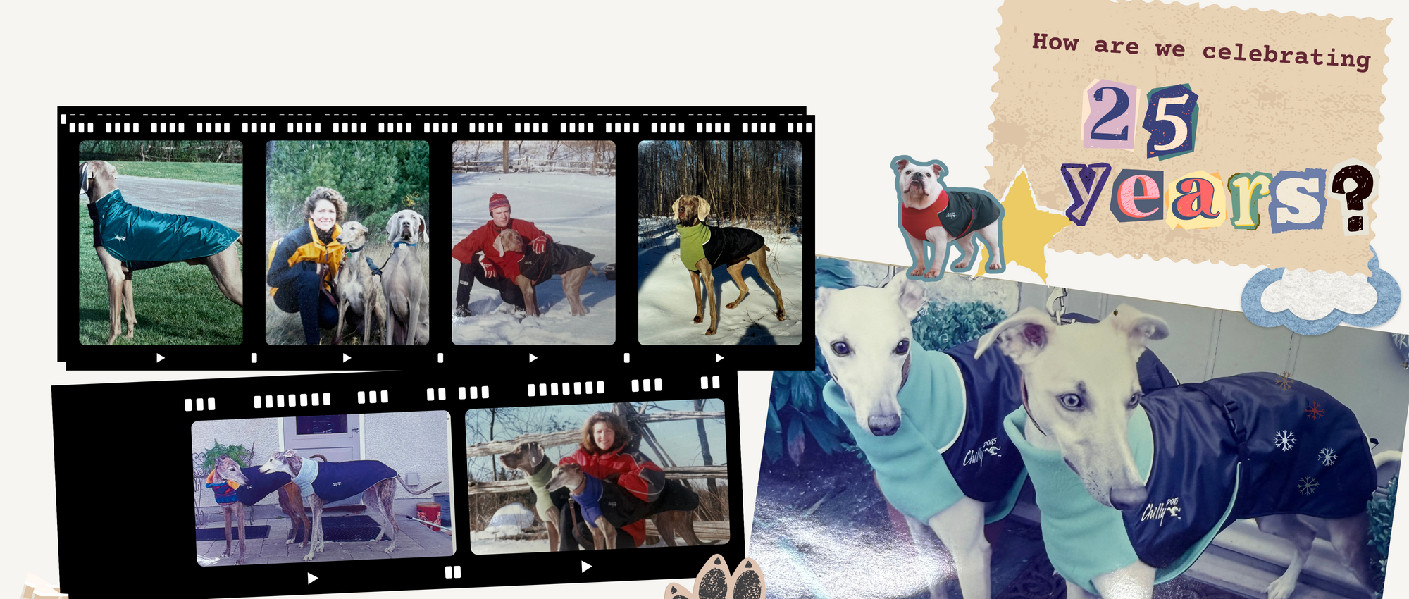 Here's to 25 Years of Chilly Dogs!