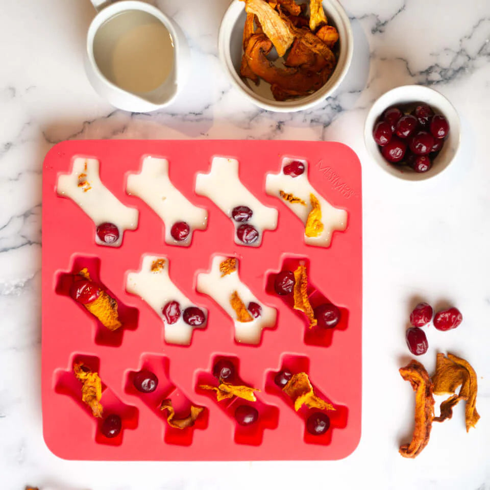 Messy Mutts Silicone Bake and Freeze Dog Treat Maker