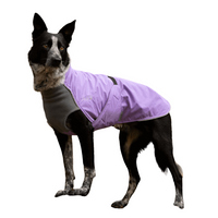 Thumbnail for Alpine Blazer 3-Season Dog Coat
