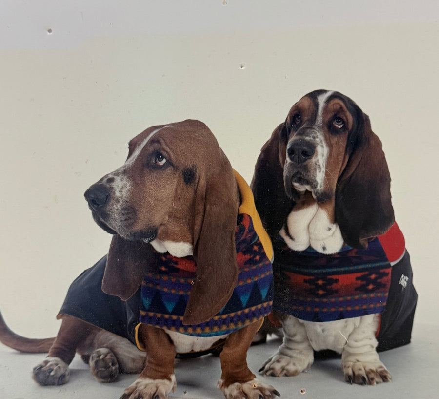 THEN — Then (2000s)