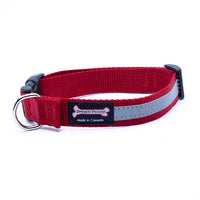 Thumbnail for Smoochy Poochy Reflective Collar