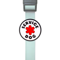 Thumbnail for Jiby Dog Crew - Service