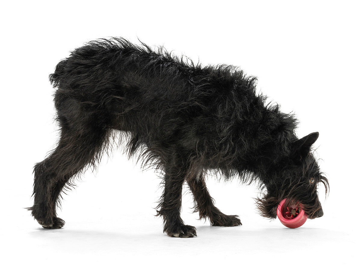 West Paw Holiday Toppl