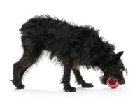 Thumbnail for West Paw Holiday Toppl