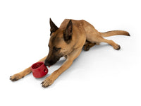 Thumbnail for West Paw Holiday Toppl