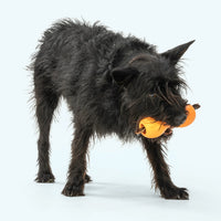 Thumbnail for West Paw Holiday Qwizl