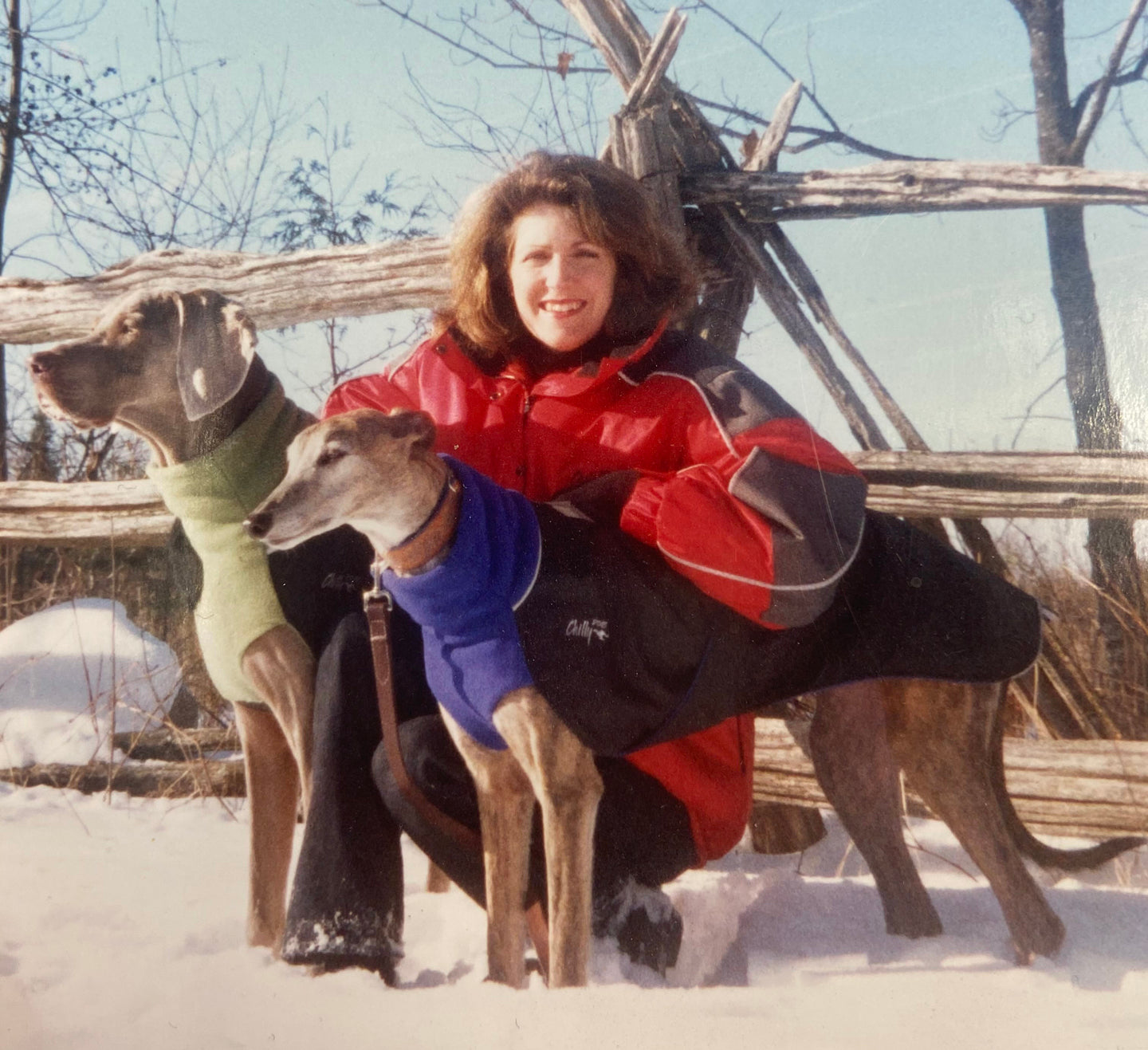 Here's to 25 Years of Chilly Dogs!