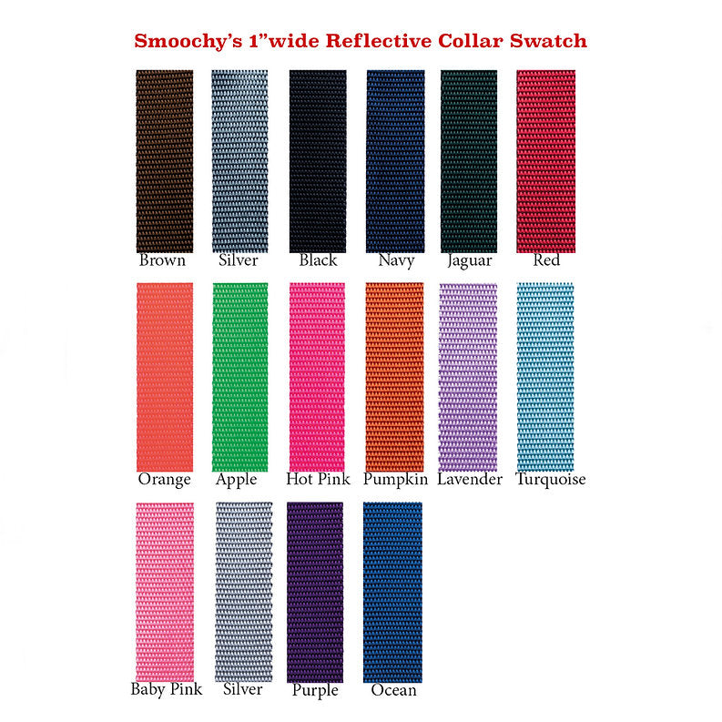 Smoochy Poochy Reflective Collar