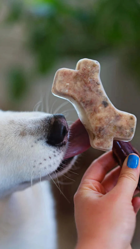 Messy Mutts Silicone Bake and Freeze Dog Treat Maker