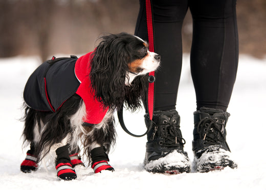 Protecting Feet from Ice, Salt and Snow