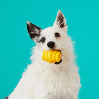 Thumbnail for Hive Durable Chew Toy for Small Dogs