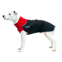 Thumbnail for Great White North Standard Sizing - LIGHTLY LOVED