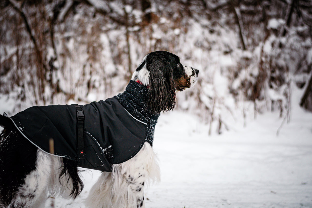Great White North Standard Sizing - LIGHTLY LOVED