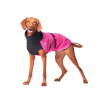 Thumbnail for Great White North Standard Sizing - LIGHTLY LOVED