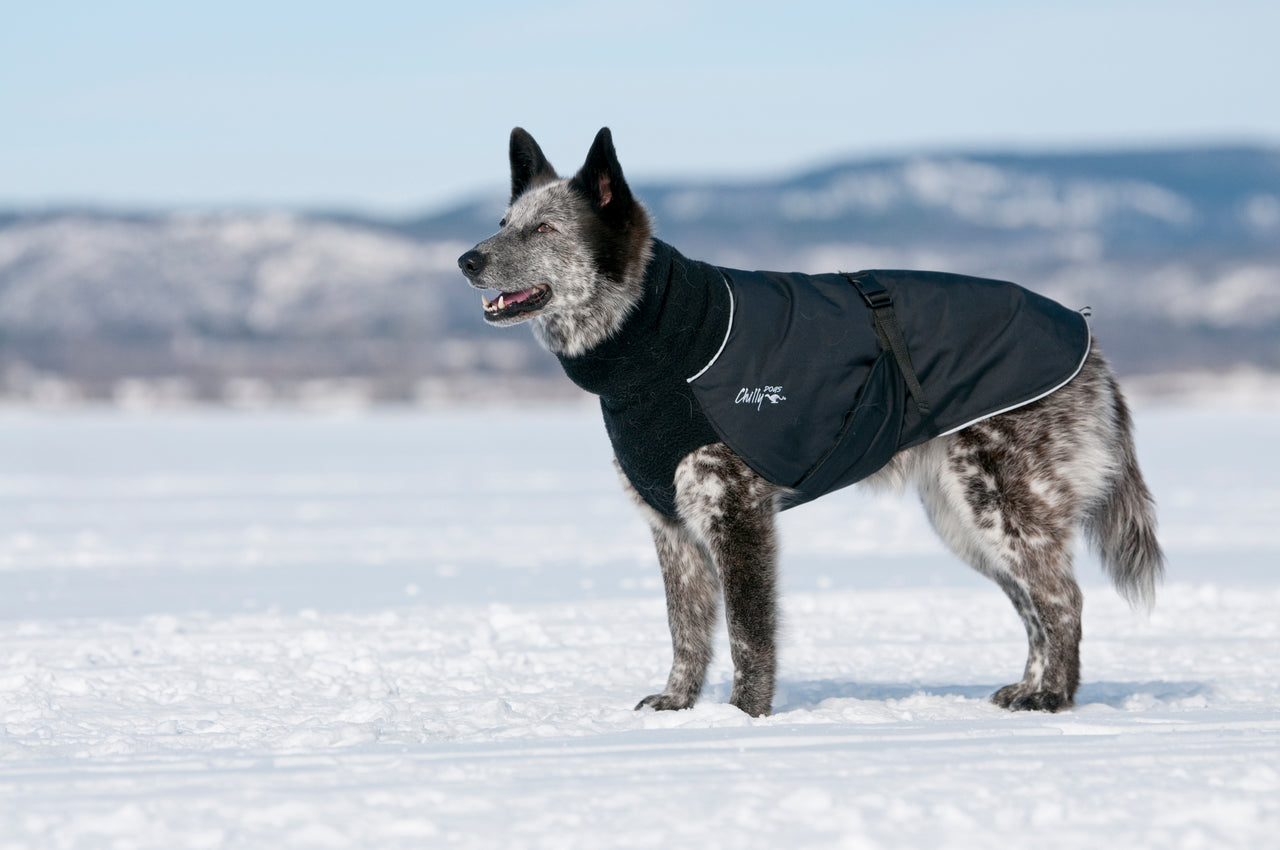 Great White North Standard Sizing - LIGHTLY LOVED