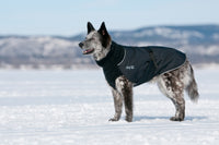 Thumbnail for Great White North Standard Sizing - LIGHTLY LOVED