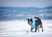 Thumbnail for Great White North Broad & Burly - LIGHTLY LOVED