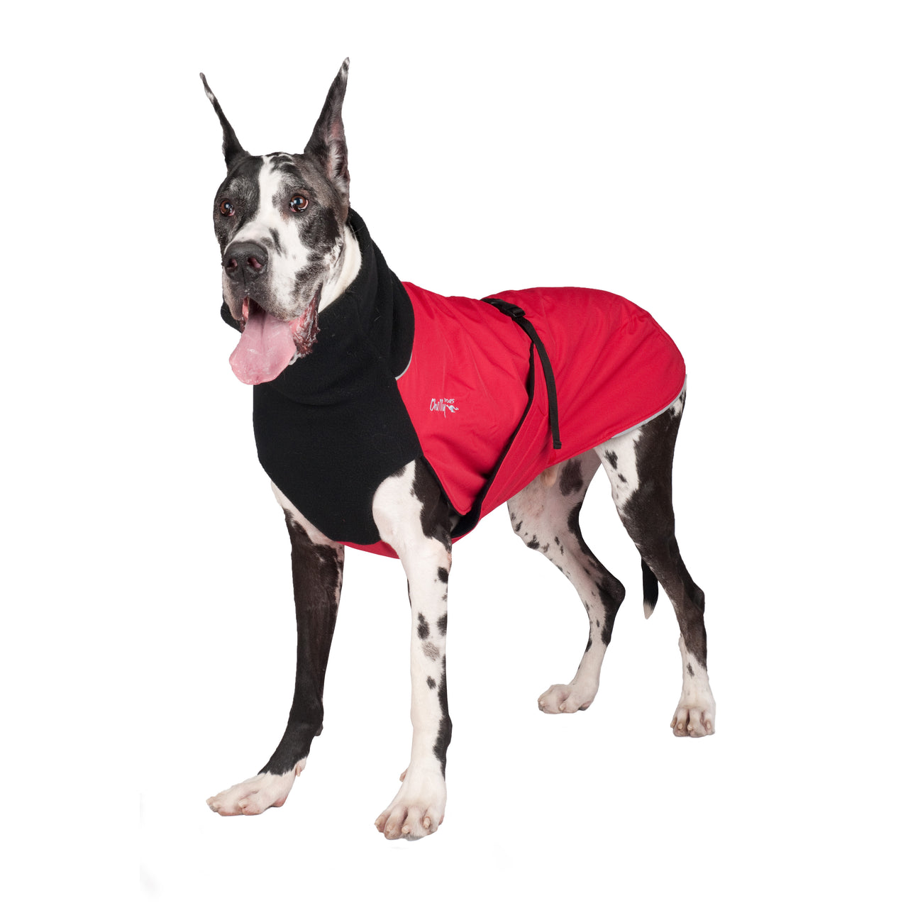 Great White North Standard Sizing - LIGHTLY LOVED