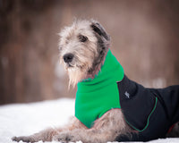 Thumbnail for Great White North Classic Green - LAST CHANCE!