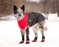 Thumbnail for Dog wearing Red Muttluks dog boots with matching red Great White North coat.