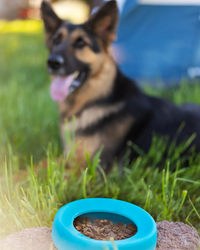 Thumbnail for Messy Mutts Silicone Non-Spill Travel Dog Bowl