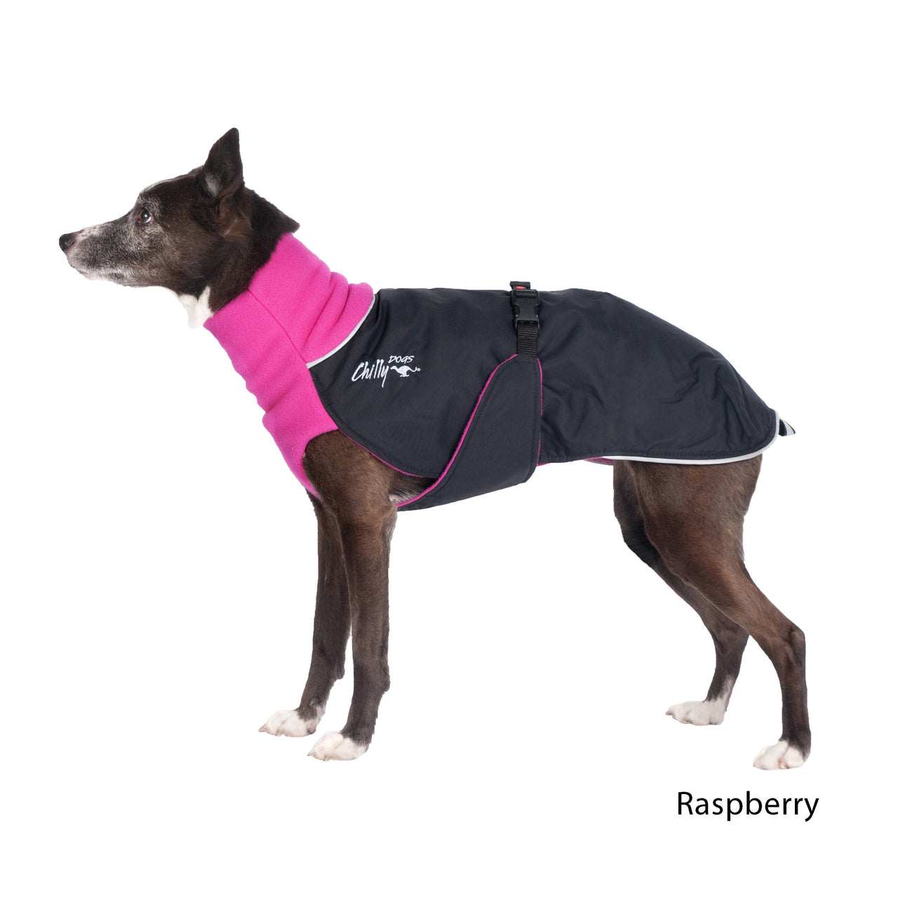 Great White North Long & Lean - LIGHTLY LOVED