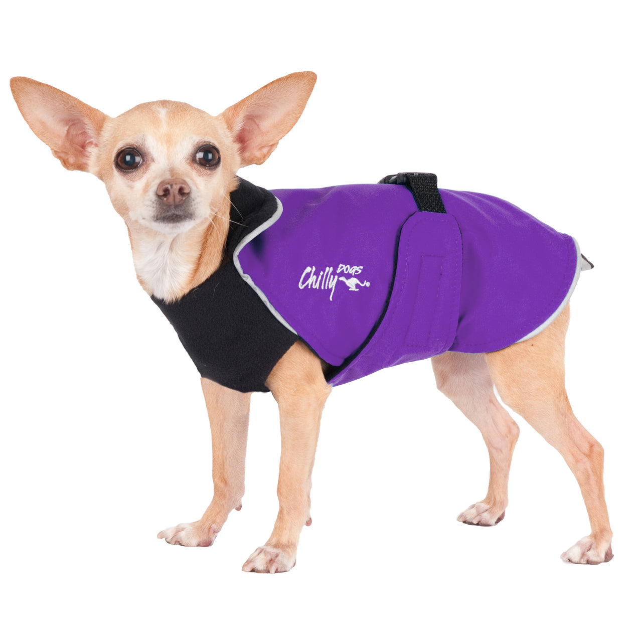 Alpine Blazer 3-Season Dog Coat