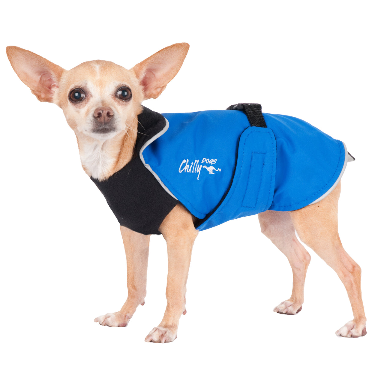 Alpine Blazer 3-Season Dog Coat