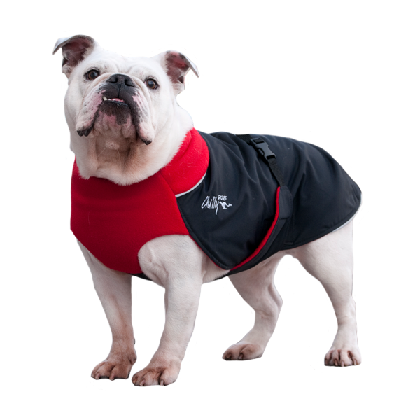 Great White North Winter Dog Coat - Broad & Burly