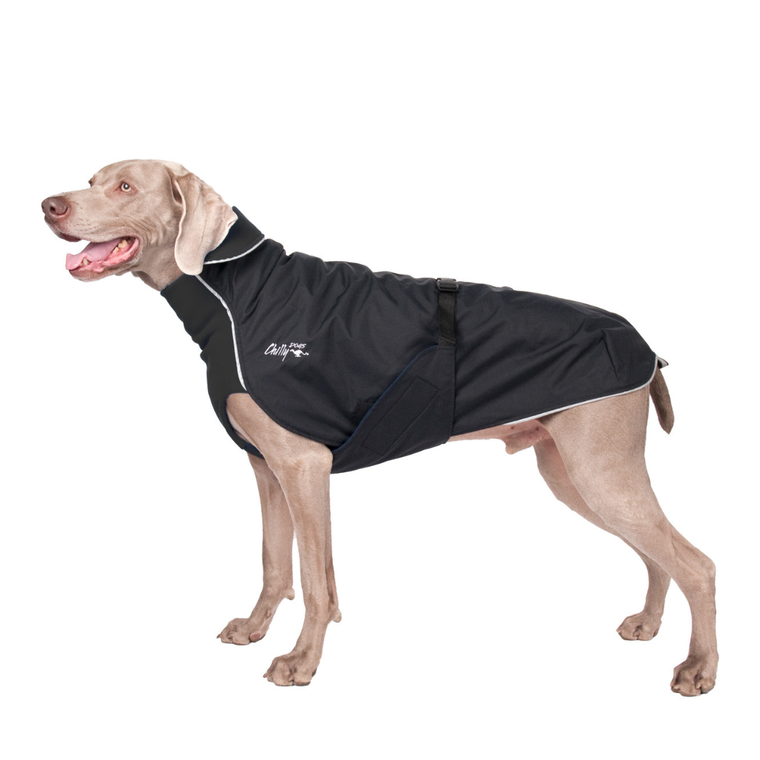 Alpine Blazer 3-Season Dog Coat