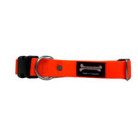 Thumbnail for Smoochy Poochy Quick Release Collar - Version 1.0