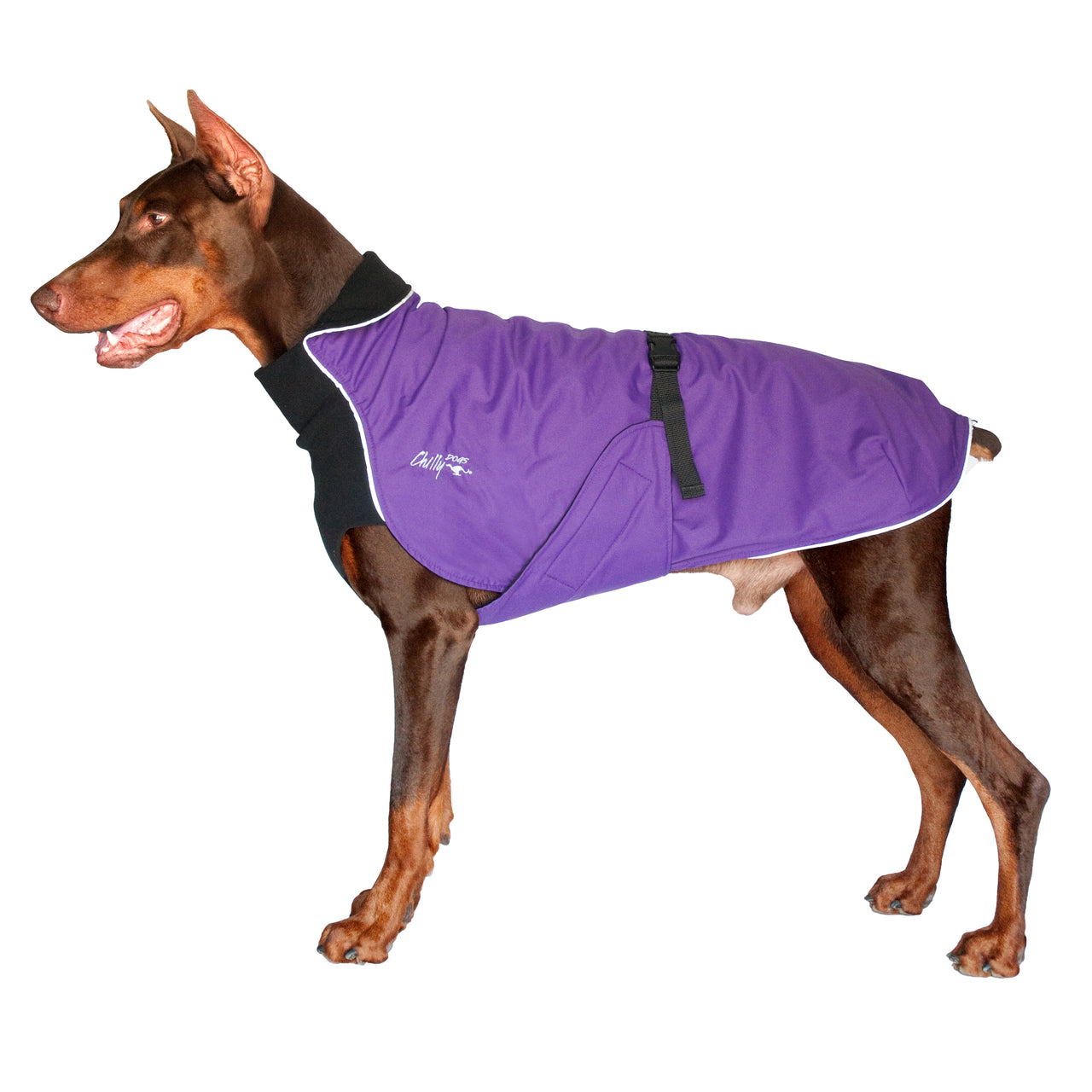 Alpine Blazer 3-Season Dog Coat