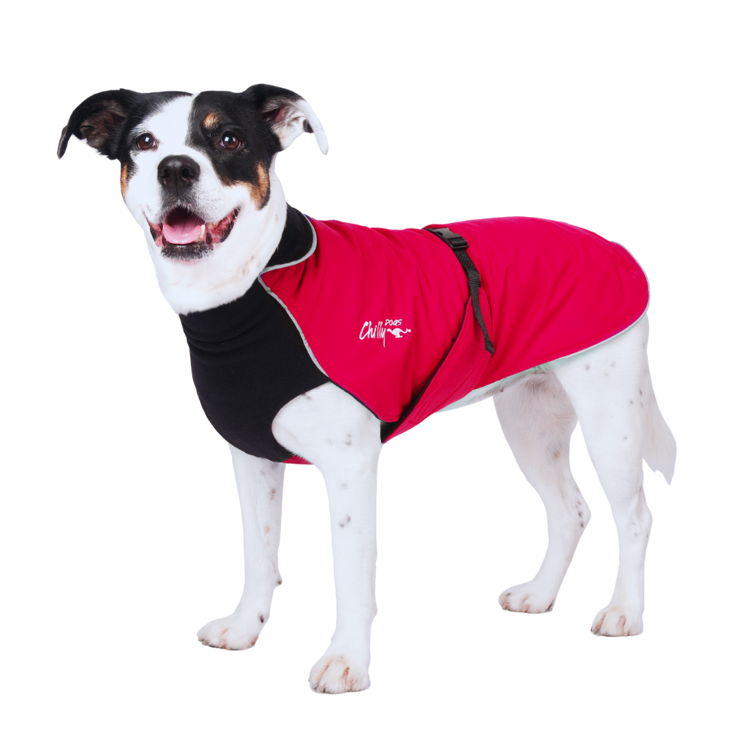 Alpine Blazer 3-Season Dog Coat