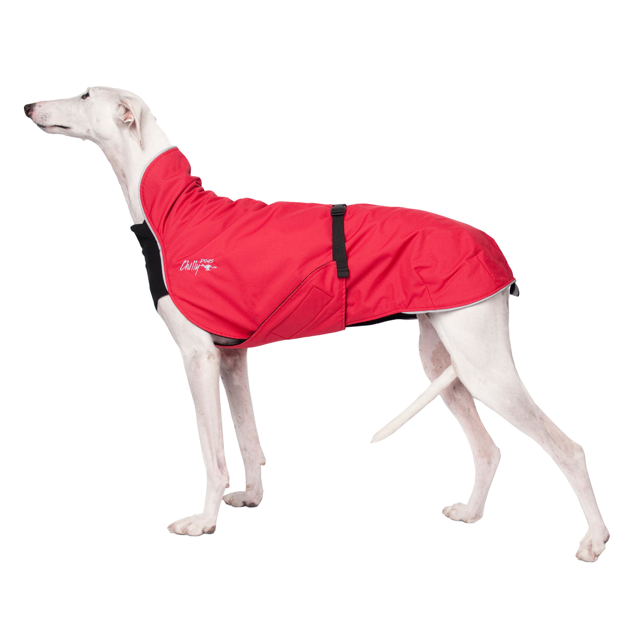 Alpine Blazer 3-Season Dog Coat