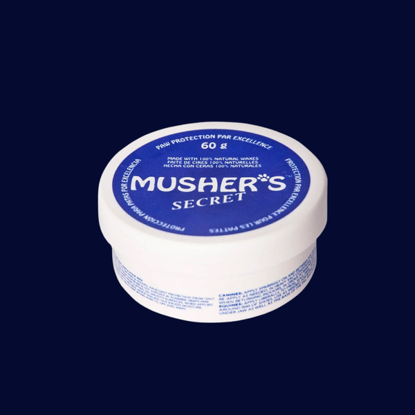 Black Friday gift tier image