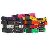 Thumbnail for Smoochy Poochy Quick Release Collar - Version 1.0