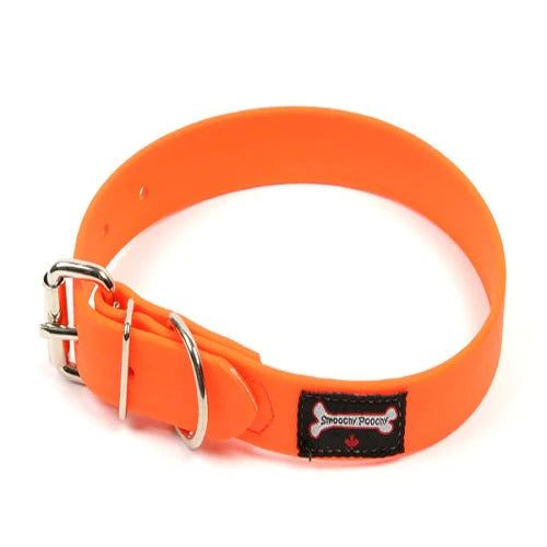 Smoochy Poochy Waterproof Buckle Collar  1" - FINAL SALE