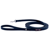 Smoochy Poochy Poly Training Lead