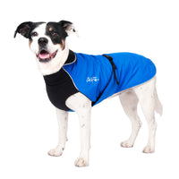 Thumbnail for Pitbull mix dog wearing the Chilly Dogs Alpine Blazer in Royal Blue