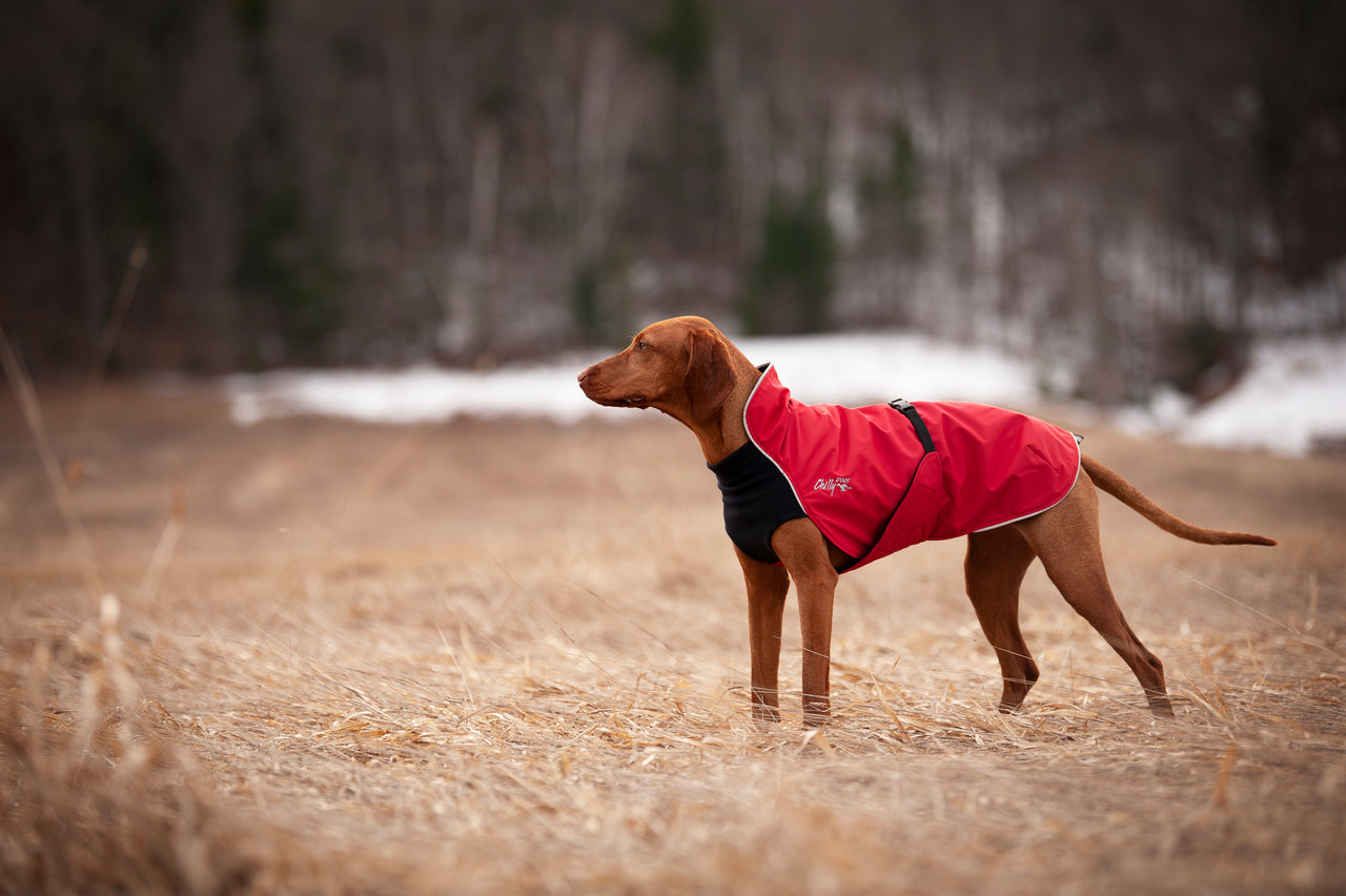 Alpine Blazer - LIGHTLY LOVED