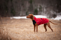 Thumbnail for Alpine Blazer - LIGHTLY LOVED