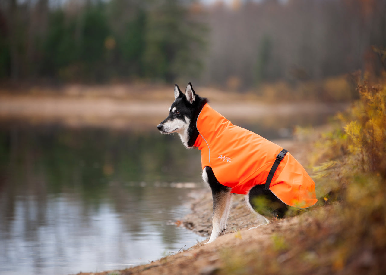 Alpine Blazer - LIGHTLY LOVED